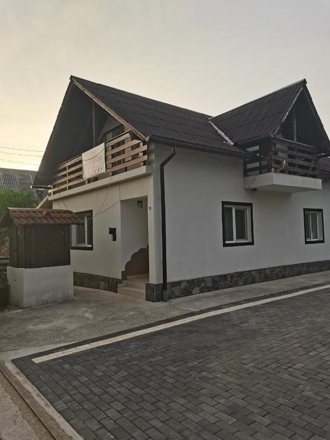 Hotel Casa Madalina Săpînţa Esterno foto