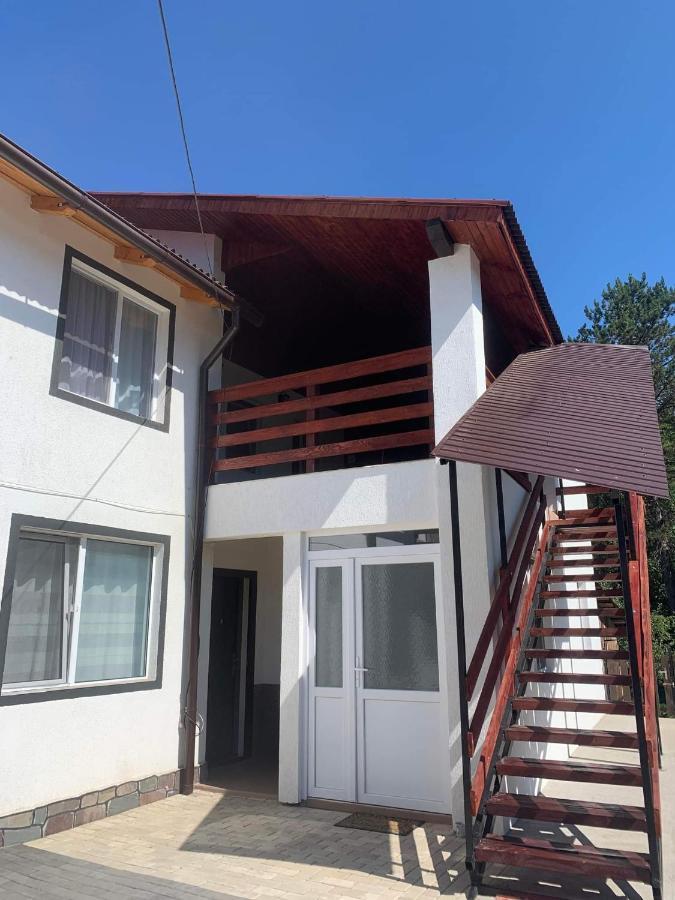 Hotel Casa Madalina Săpînţa Esterno foto