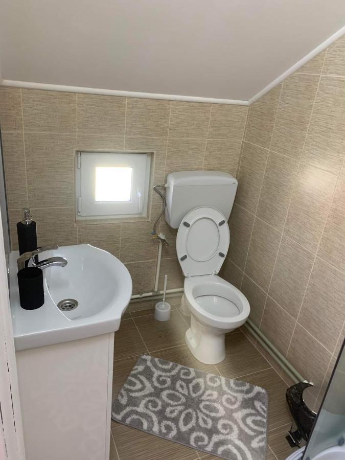 Hotel Casa Madalina Săpînţa Esterno foto